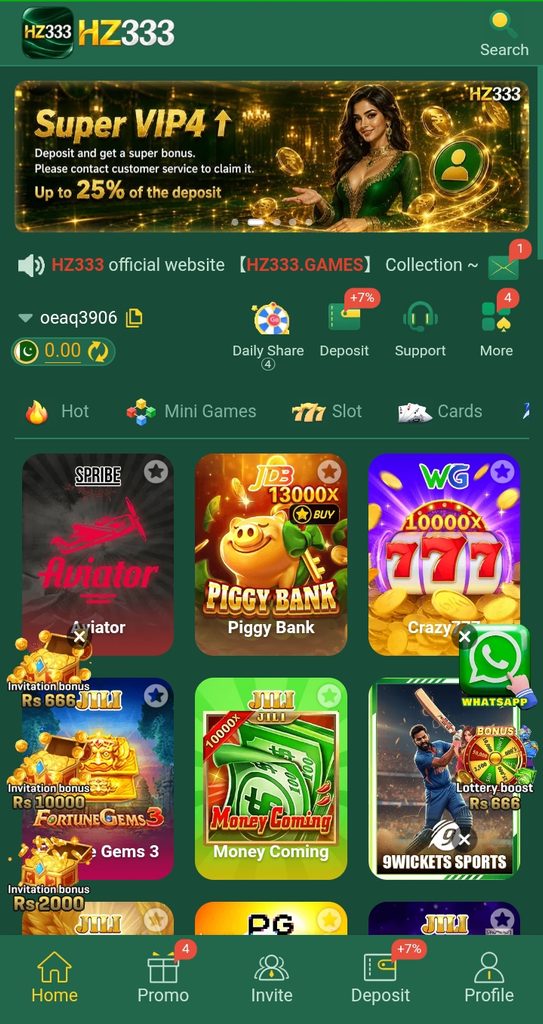 HZ333 game